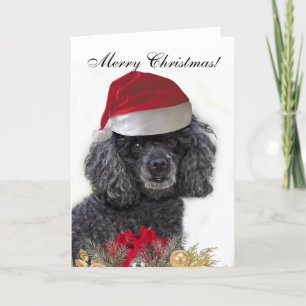 Merry Christmas Poodle Dog greeting card