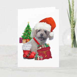 Merry Christmas Poodle Greeting Card