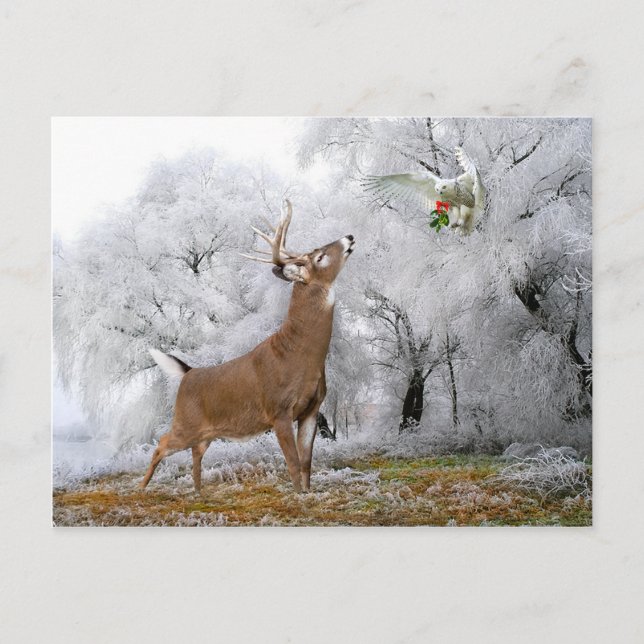 "Merry Christmas" Postcard (Front)