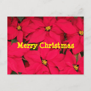 Merry Christmas postcard