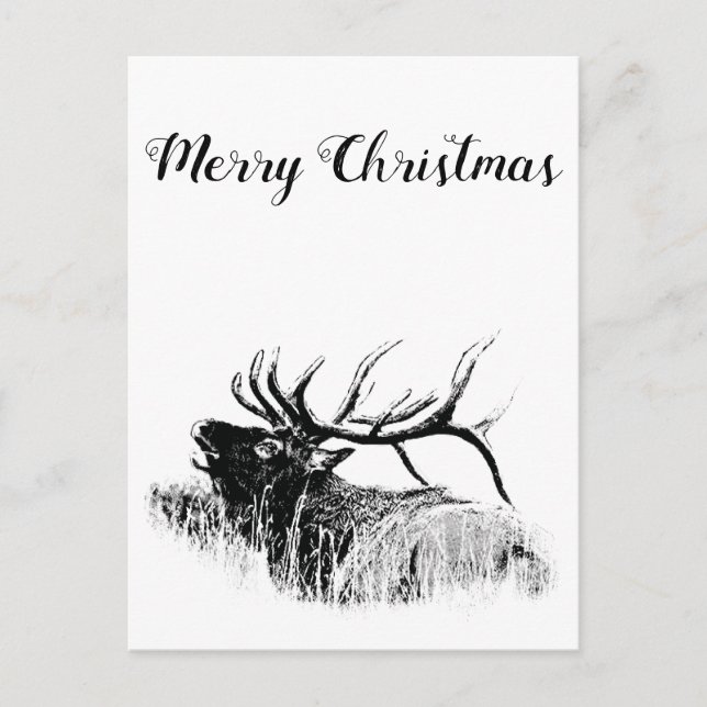 Merry Christmas Postcard (Front)