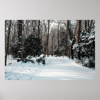 Merry Christmas Poster