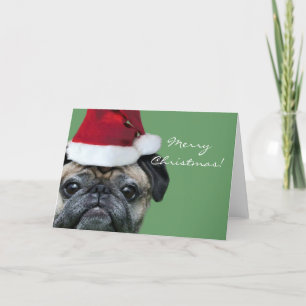 Merry Christmas Pug greeeting card