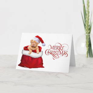 Merry Christmas Puppy Holiday Card