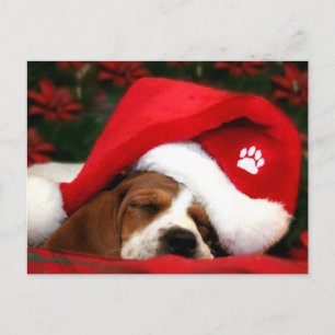 Merry Christmas Puppy post card