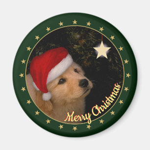 "Merry Christmas" Puppy with Santa Hat Magnet