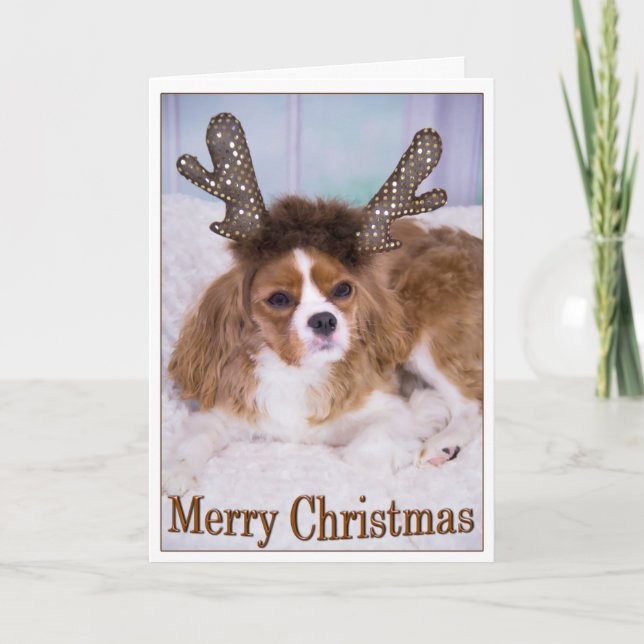 Merry Christmas Raindeer Cavalier King Charles Holiday Card (Front)