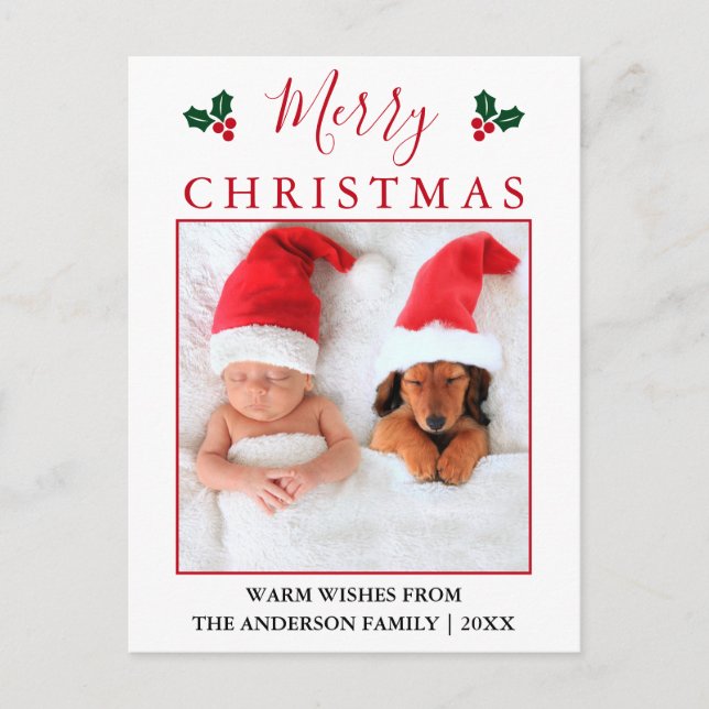 Merry Christmas Red Berries Photo Postcard (Front)