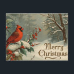 Merry Christmas Red Cardinal and Winter Berries  Holiday Postcard<br><div class="desc">Christmas forest illustration</div>