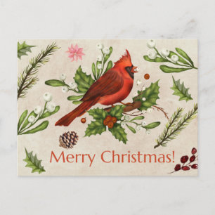 Merry Christmas Red Cardinal  Postcard