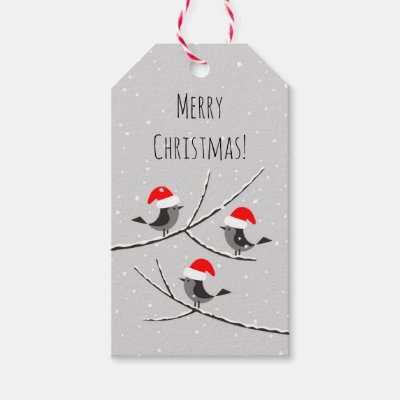 Merry Christmas Red Santa Hat Birds Snow Gift Tags
