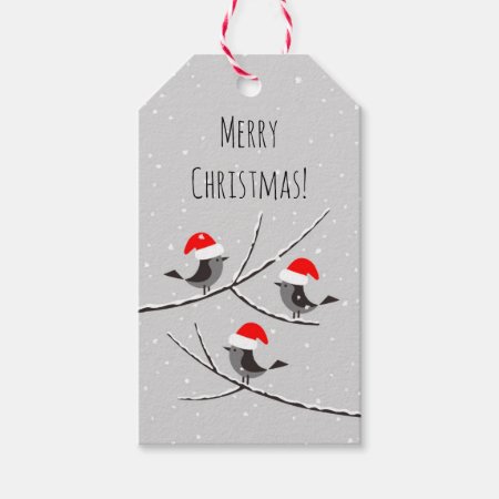 Merry Christmas Red Santa Hat Birds Snow Gift Tags