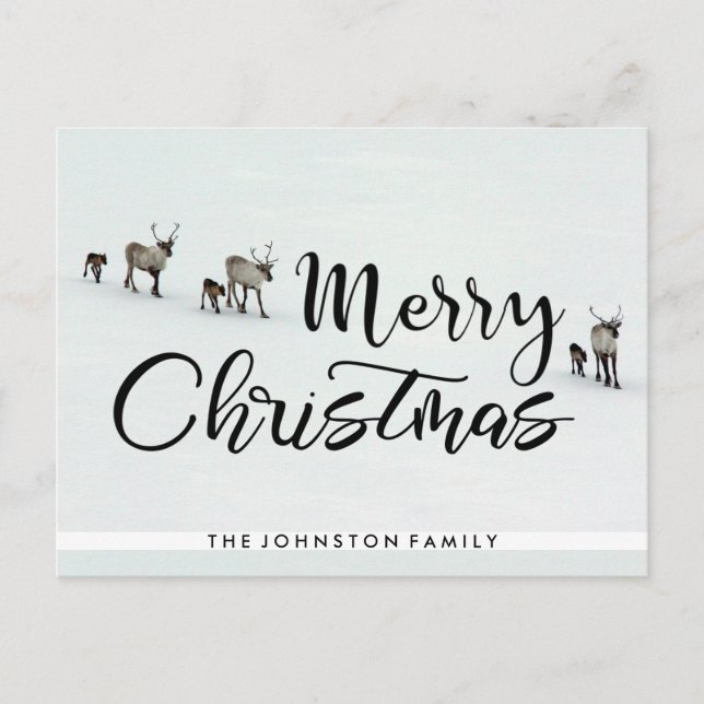 Merry Christmas Reindeer Holiday Postcard (Front)