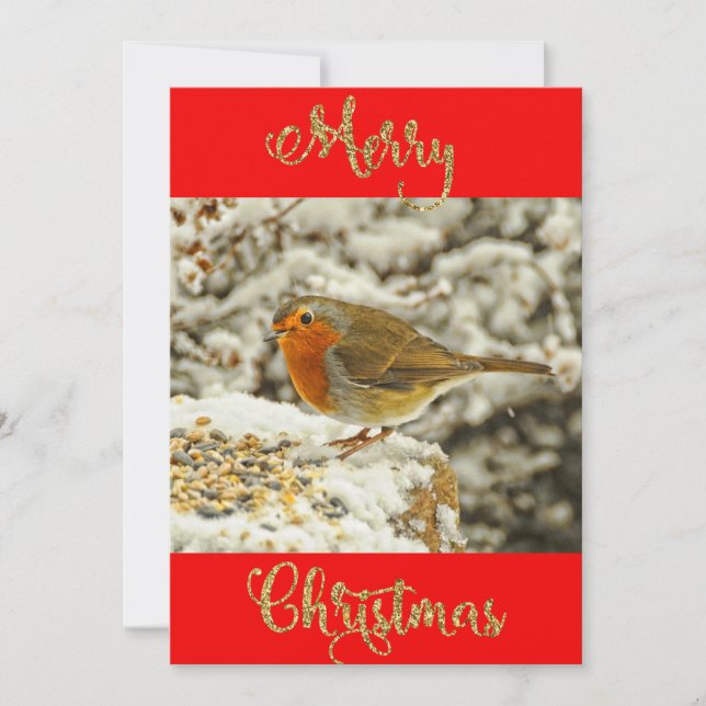 Merry Christmas Robin in Snow Photo Card (Front)