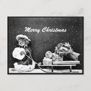 Merry Christmas Santa Cat Christmas  Postcard