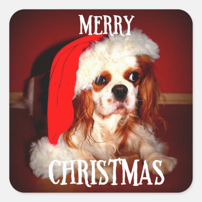 merry christmas santa cav square sticker (Front)