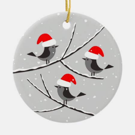 Merry Christmas Santa Red Hat Birds