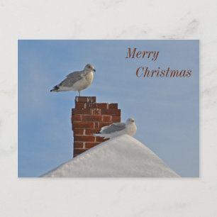 Merry Christmas Seashore Holiday Postcard