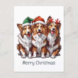 Merry Christmas Shetland Sheepdogs Postcard