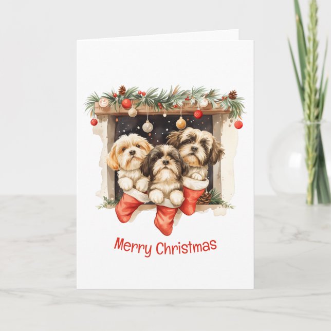 Merry Christmas Shih Tzu Dogs Holiday Card (Front)