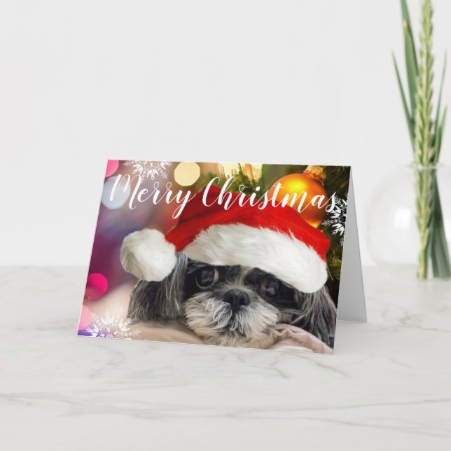 Merry Christmas Shih Tzu Greeting Card (Front)