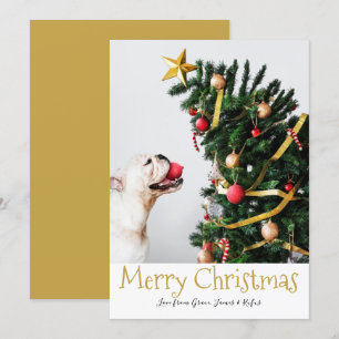 Merry Christmas Simple Fun Text Photo Card
