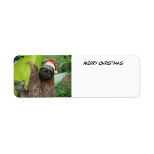 Merry Christmas Sloth