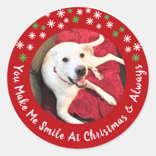 Merry Christmas Smiling Dog Photo Funny Red Circle Classic Round Sticker