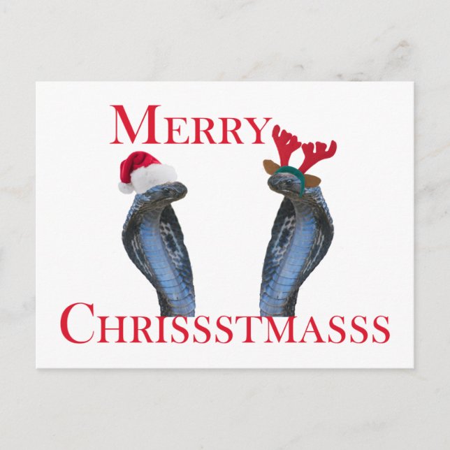 Merry Christmas Snakes In Antlers & Santa Hat Holiday Postcard (Front)