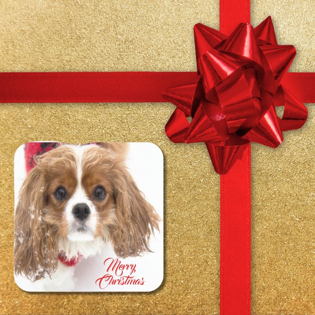 Merry Christmas Snowy Cavalier King Charles Square Sticker (Creator Uploaded)