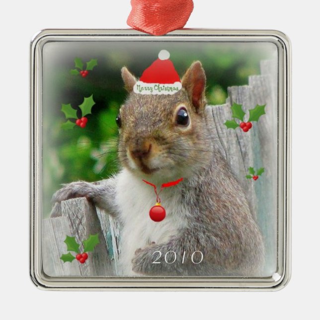 Merry Christmas Squirrel 2010 Metal Ornament (Front)
