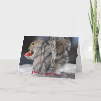 Merry Christmas Squirrel  Apple Greeting Card