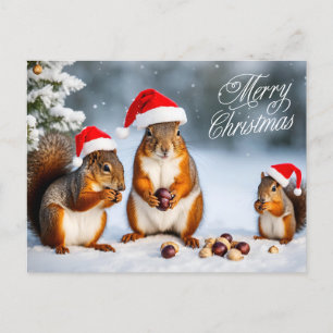 Merry Christmas Squirrel Family in Santa Hats  Postcard