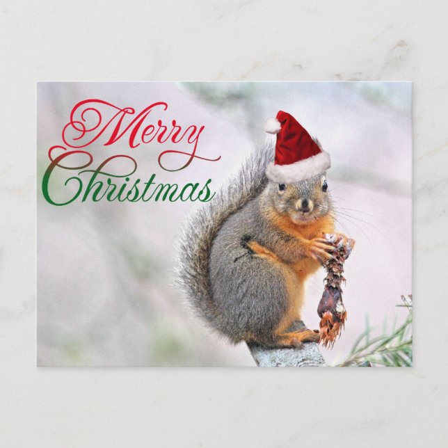 Merry Christmas Squirrel Holiday Postcard (Front)