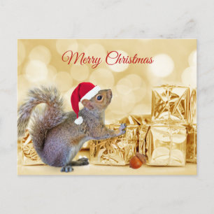 Merry Christmas Squirrel in Santa Hat & Gifts Holiday Postcard