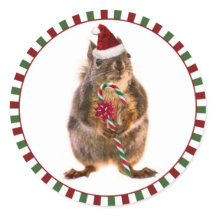 Merry Christmas Squirrel Stickers