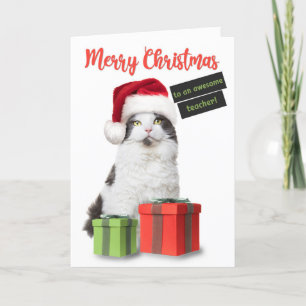 Merry Christmas Teacher Cute Cat With Presents  Holiday Card
