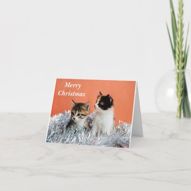 MERRY CHRISTMAS TO *ONE COOL CAT* CARD (Front)