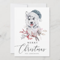 Merry Christmas. Watercolor husky. Cute animal