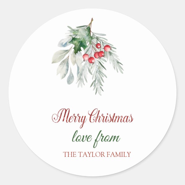 Merry Christmas,Watercolor Mistletoe Classic Round Sticker (Front)