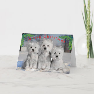 Merry Christmas - Westies In the Snow Card