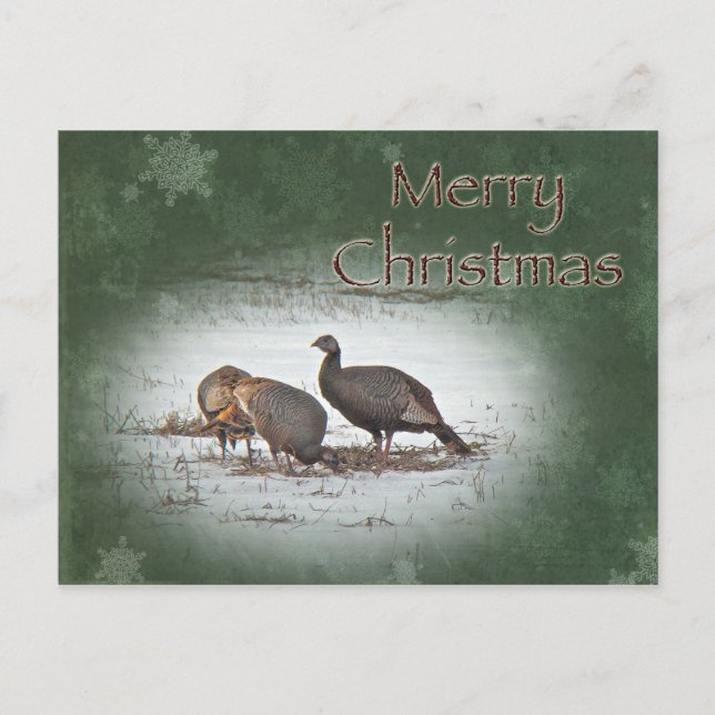 Merry Christmas Wild Turkey Holiday Postcard (Front)