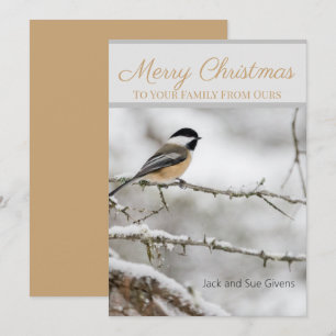 Merry Christmas Winter Bird Custom  Holiday Card