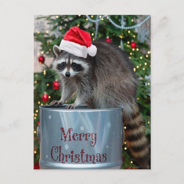 Merry Christmas With Raccoon Santa Scene Holiday Postcard (Front)