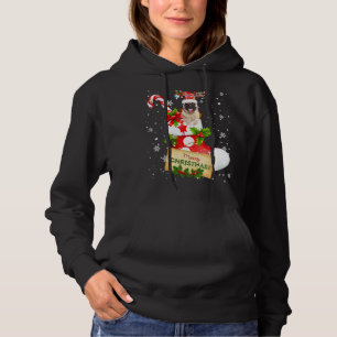 Merry Christmas Xmas Lights Santa Reindeer Pug In Hoodie