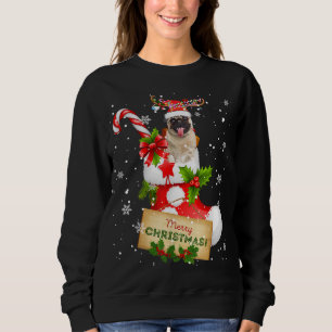 Merry Christmas Xmas Lights Santa Reindeer Pug In Sweatshirt