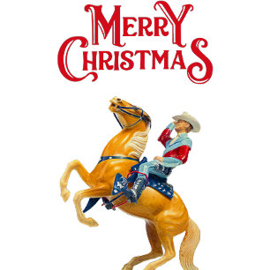 Merry Christmas Y'all! Card