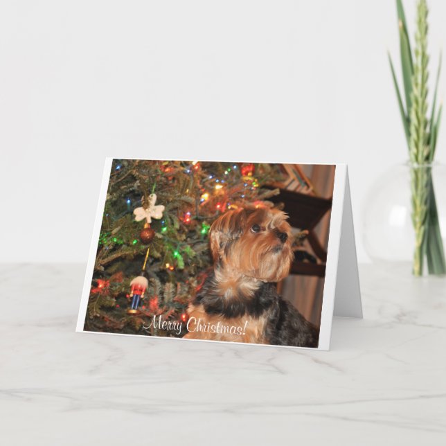 Merry Christmas,Yorkie,Yorkshire Terrier Holiday Card (Front)