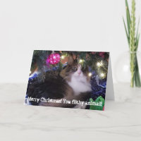 Merry Christmas you filthy animal aloof cat