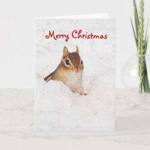 Merry Christnas Little Snowy Chipmunk Card